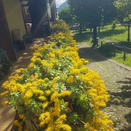 Castagno 1 Sentiero Del Viandante ベッラーノ
